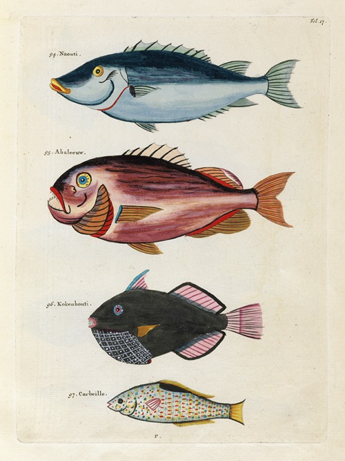 Poissons, ecrevisses et crabes, de diverses couleurs et figures extraordinaires.. Pl.017