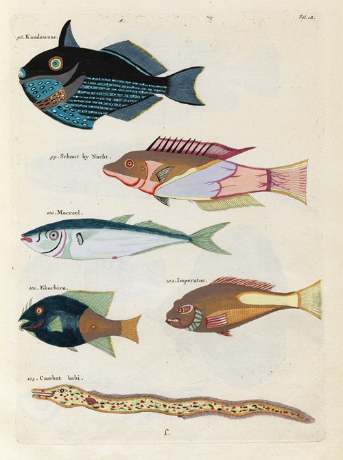 Poissons, ecrevisses et crabes, de diverses couleurs et figures extraordinaires.. Pl.018