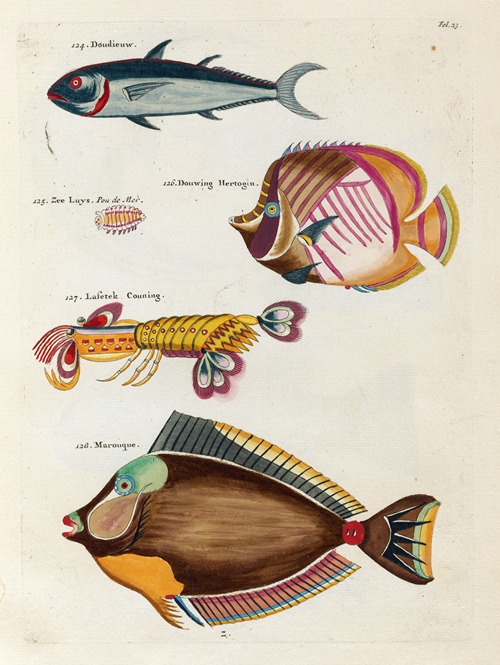 Poissons, ecrevisses et crabes, de diverses couleurs et figures extraordinaires.. Pl.023