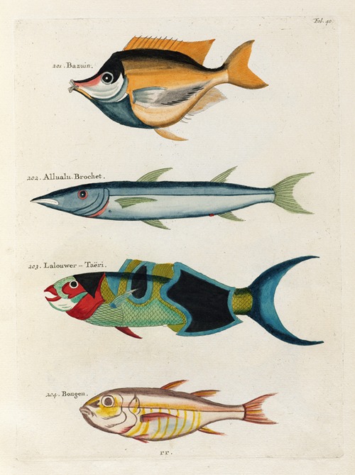 Poissons, ecrevisses et crabes, de diverses couleurs et figures extraordinaires.. Pl.040