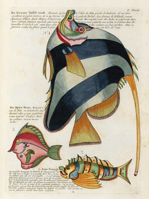 Poissons, ecrevisses et crabes, de diverses couleurs et figures extraordinaires.. Pl.044