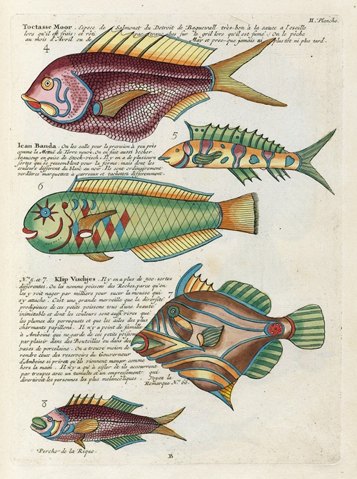 Poissons, ecrevisses et crabes, de diverses couleurs et figures extraordinaires.. Pl.045