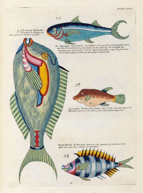 Poissons, ecrevisses et crabes, de diverses couleurs et figures extraordinaires.. Pl.055