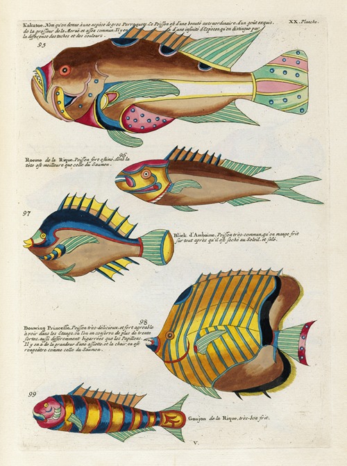 Poissons, ecrevisses et crabes, de diverses couleurs et figures extraordinaires.. Pl.063