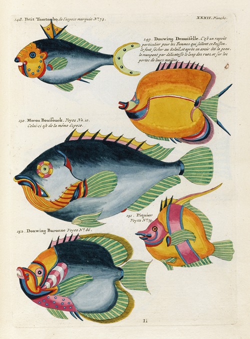 Poissons, ecrevisses et crabes, de diverses couleurs et figures extraordinaires.. Pl.075