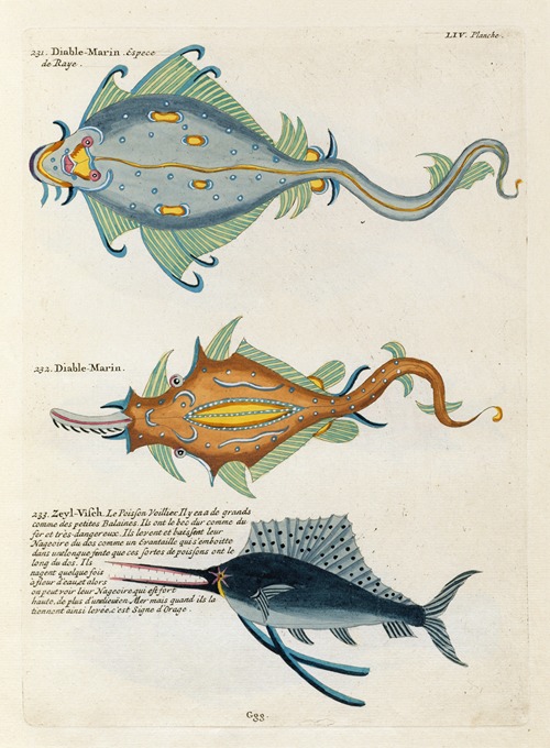 Poissons, ecrevisses et crabes, de diverses couleurs et figures extraordinaires.. Pl.097