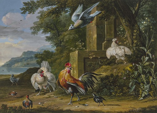 Ein Hahn und zwei Hennen mit ihren Jungen von einem Raubvogel überfallen