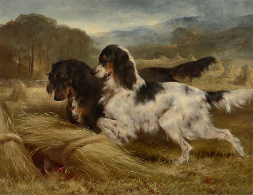 ‘The First of September’ – An English Tricolour and a Gordon Setter with Partridge
