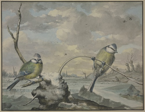 Two tits in the winter