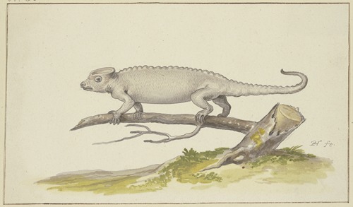 Eidechse oder Salamander nach links