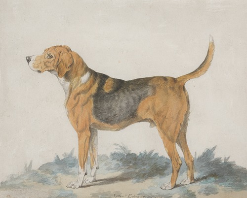 Hound Standing; profile, facing left