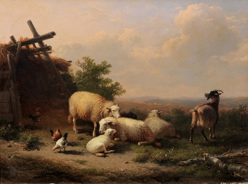 Sheep, goat and poultry by a shelter in a hilly landscape