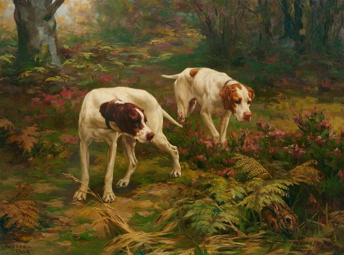 Two pointers and a hare