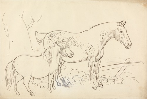Horse and Pony