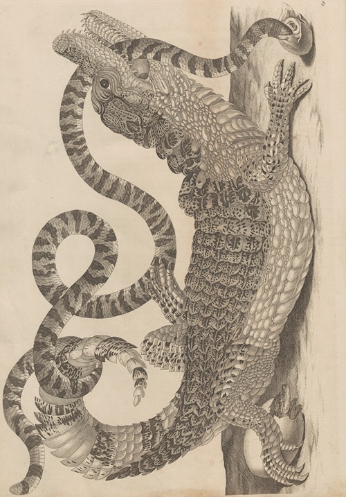 Dissertatio de generatione et metamorphosibus insectorum surinamensium Pl.69