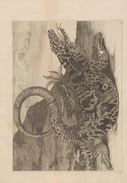 Dissertatio de generatione et metamorphosibus insectorum surinamensium Pl.70