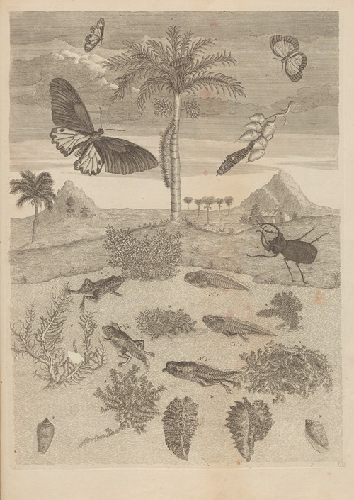 Dissertatio de generatione et metamorphosibus insectorum surinamensium Pl.72
