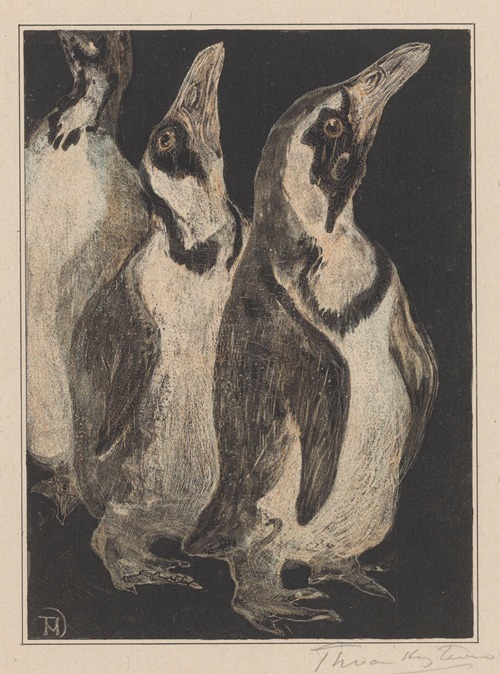 Drie pinguïns