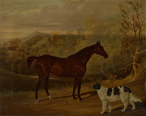 A dark bay hunter and a standing spaniel in the park at Harewood