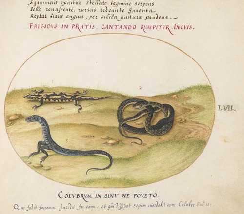 A Snake, a Fire Salamander, and a Snakelike Creature with Two Legs