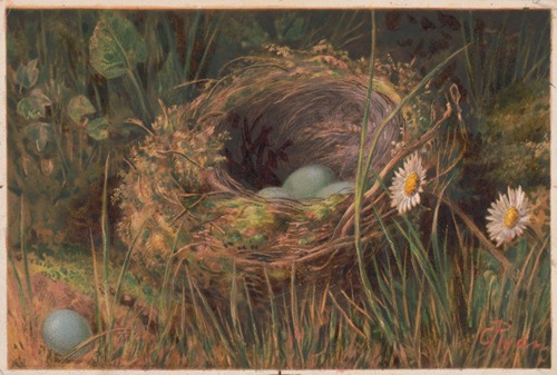 The Hedge sparrows mansion