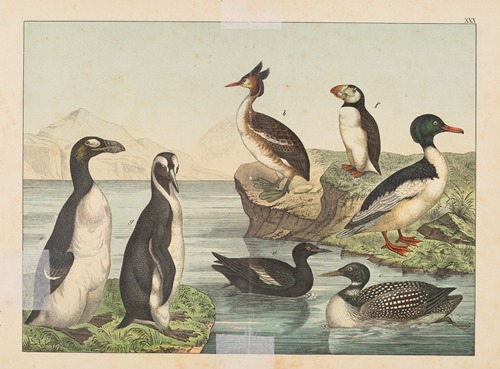 Historja naturalna ptakow (Natural history of birds) Pl.30