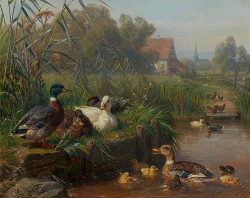 Enten und Geflügel an einem Wasserteich mit einem Gehöft im Hintergrund