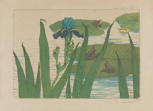 Grenouilles, iris et nénuphars