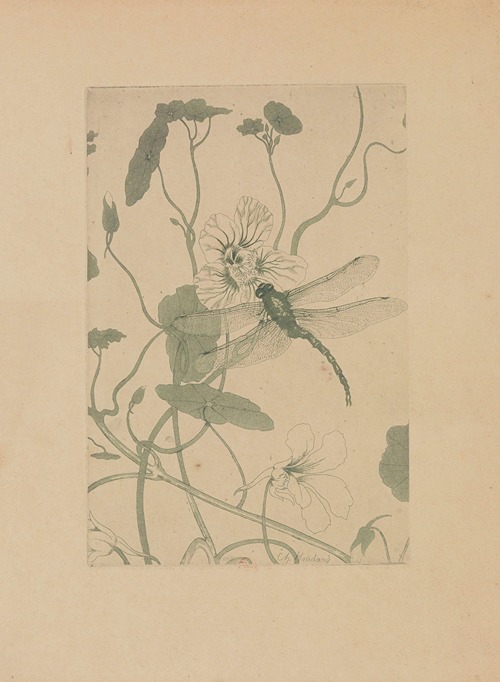 Libellule et capucine