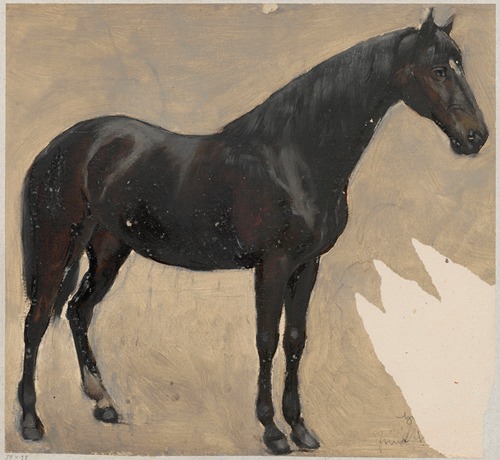 Study of a horse