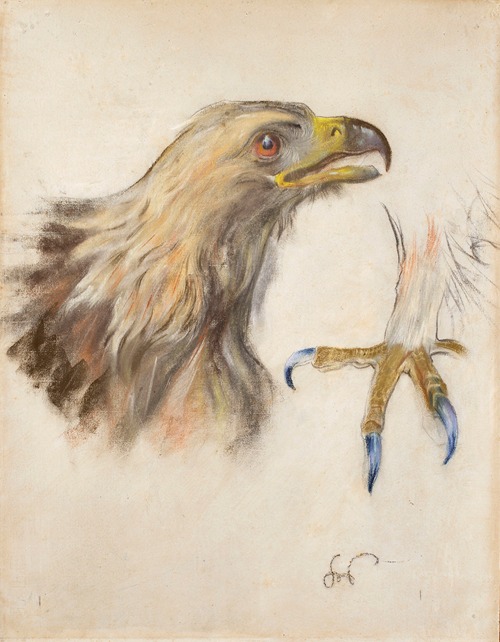 Study of the head and clutches of an eagle