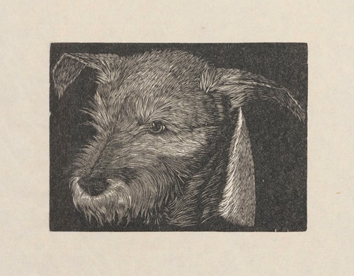 Head of ‘Beauty’ the dog