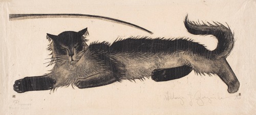 Sleepy cat