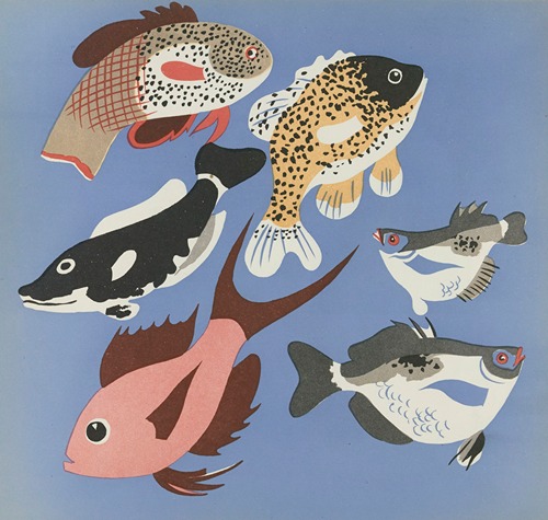 Images à colorier, Des Poissons Pl.07