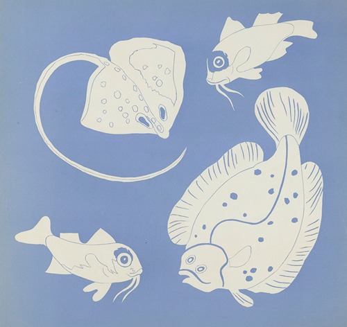 Images à colorier, Des Poissons Pl.12