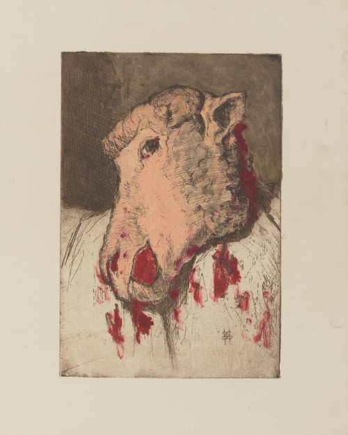 Tête de mouton