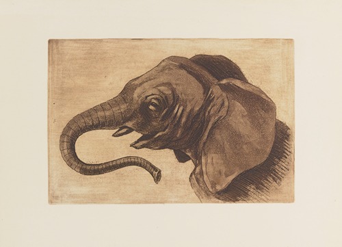 Tête d’éléphant