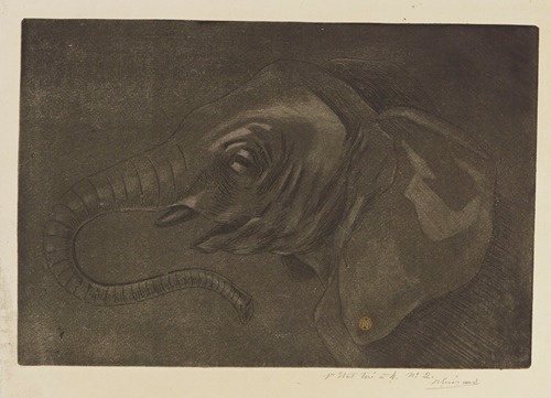 Tête d’éléphant