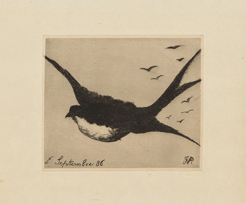 Hirondelle