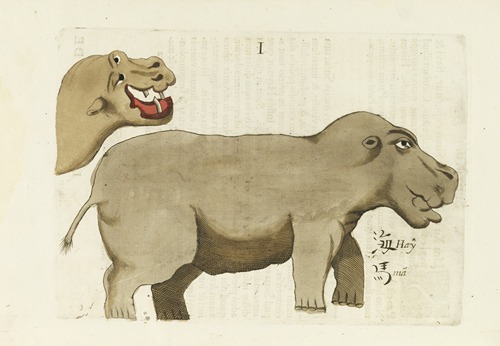 De Caballo Marino