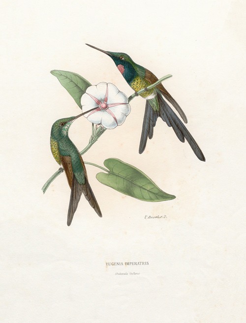 Eugenia Imperatris