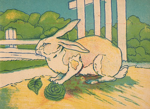 Zwierzęta domowe Pl.2