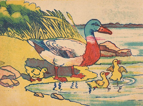Zwierzęta domowe Pl.4