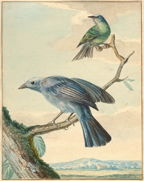 Oiseaux branchés