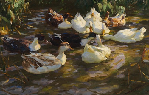 Enten am Teich