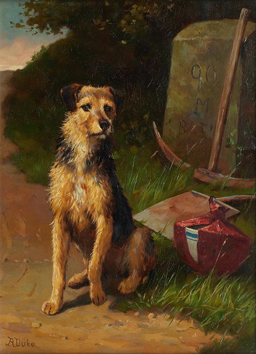 A faithful companion – Rough Coat Terrier