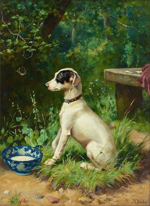 A White Terrier by its bowl