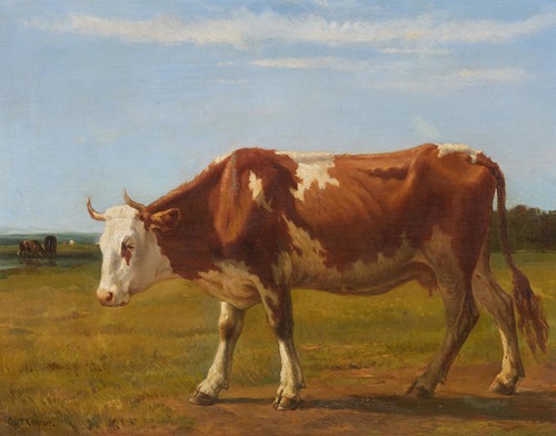 Stehende Kuh auf der Weide