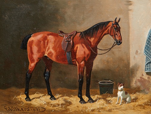 Gesattelter Brauner im Stall mit einem Hund