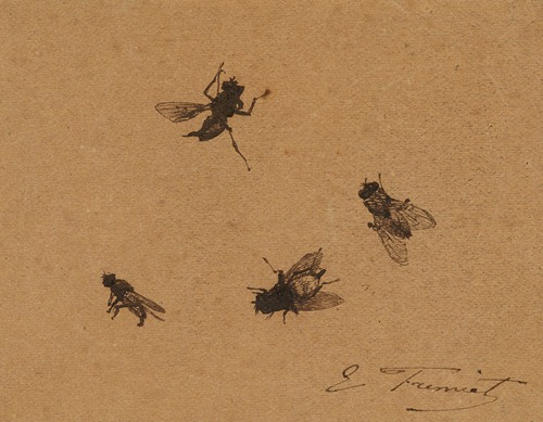 Etude de mouches